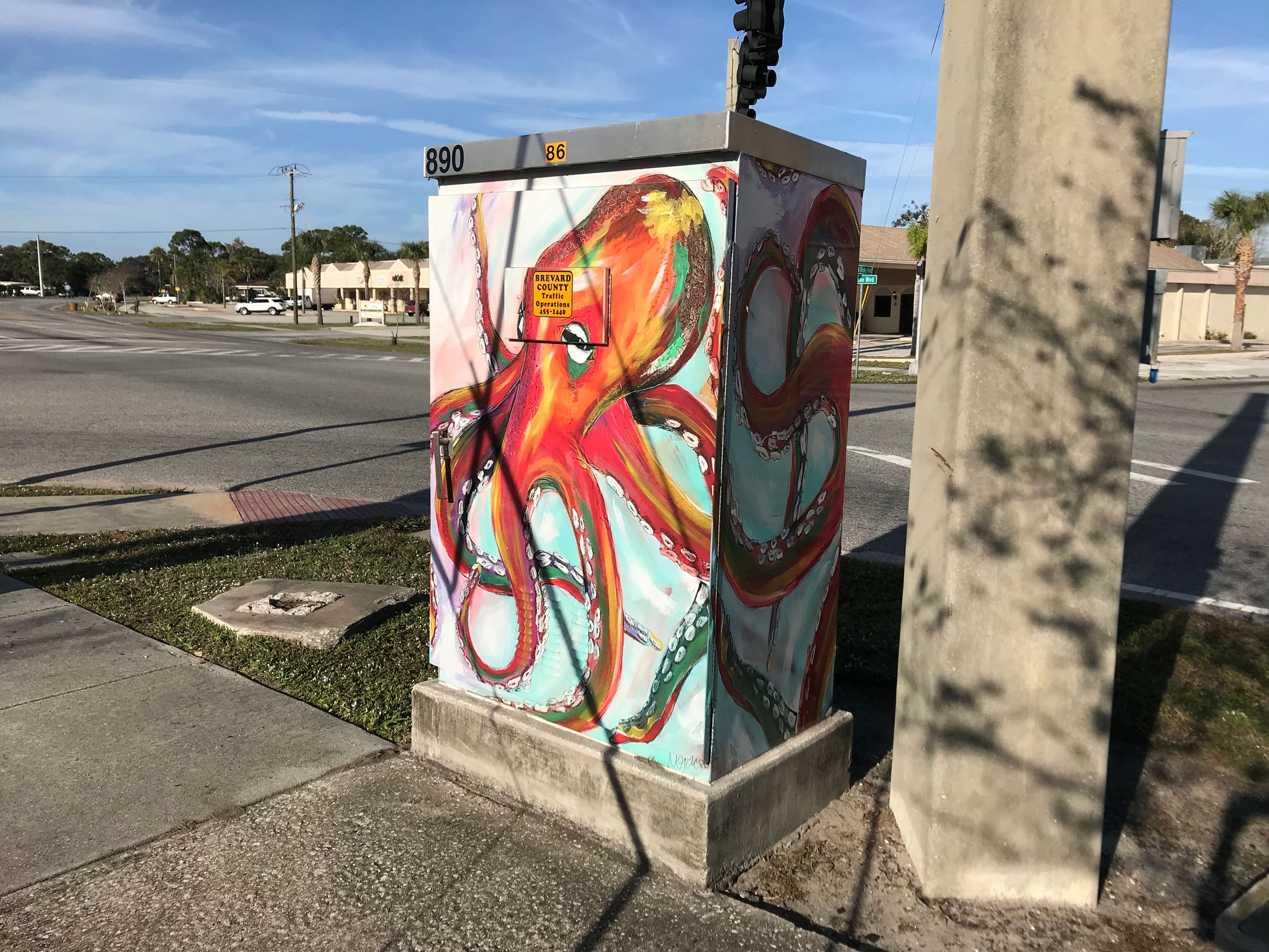 Photo of Colors of the Sea Artwork on Traffic Box at Dixon Blvd. and Fiske Blvd.