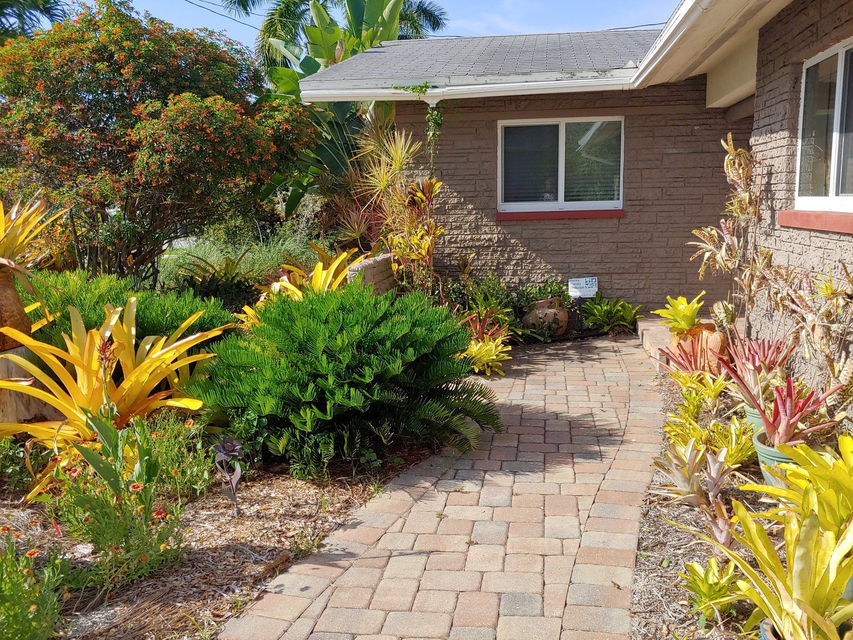 Florida Friendly yard