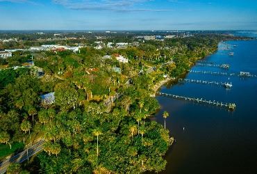 Tree canopy in Cocoa along Indian River Drive