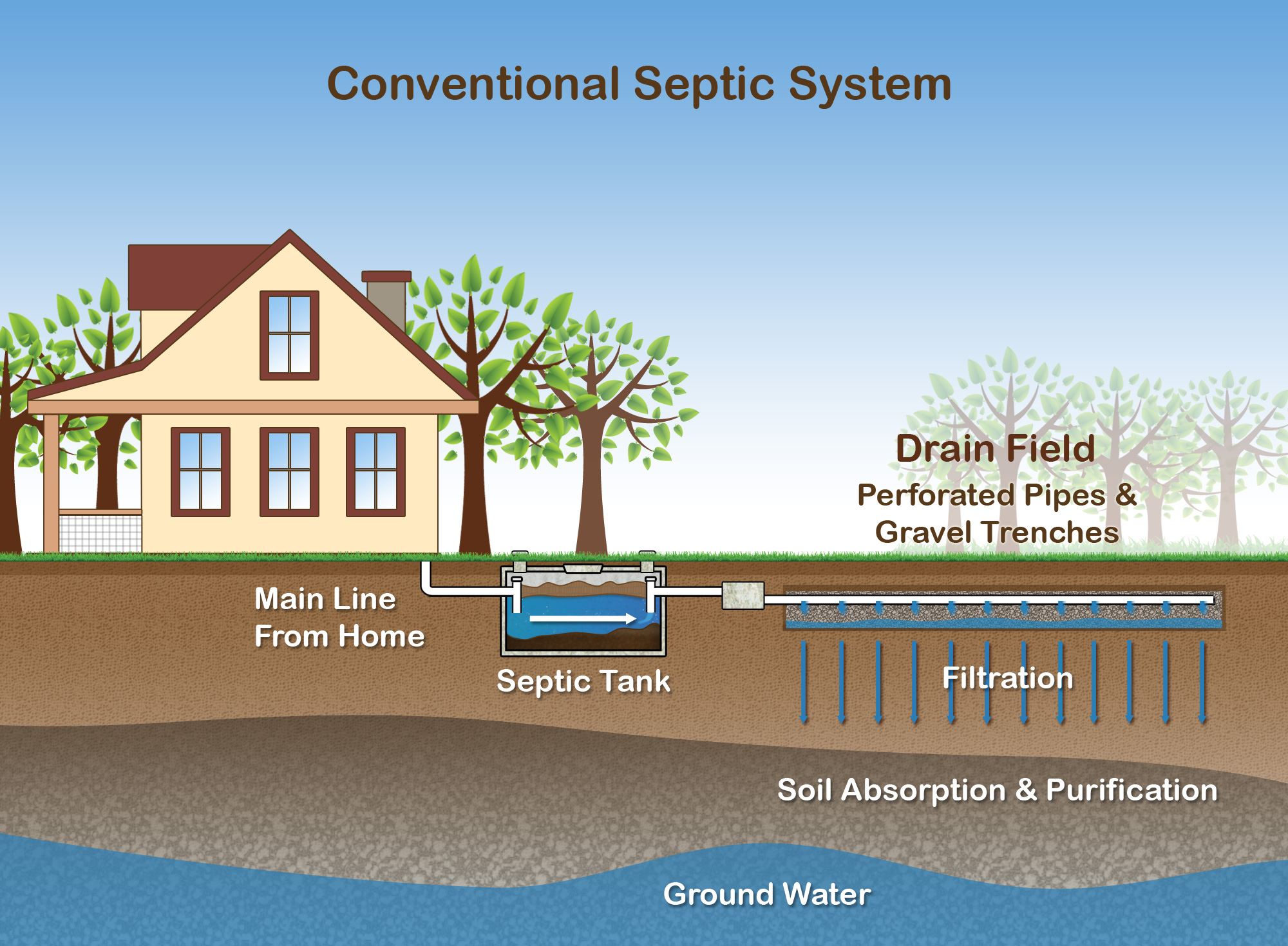 Septic system home field profile