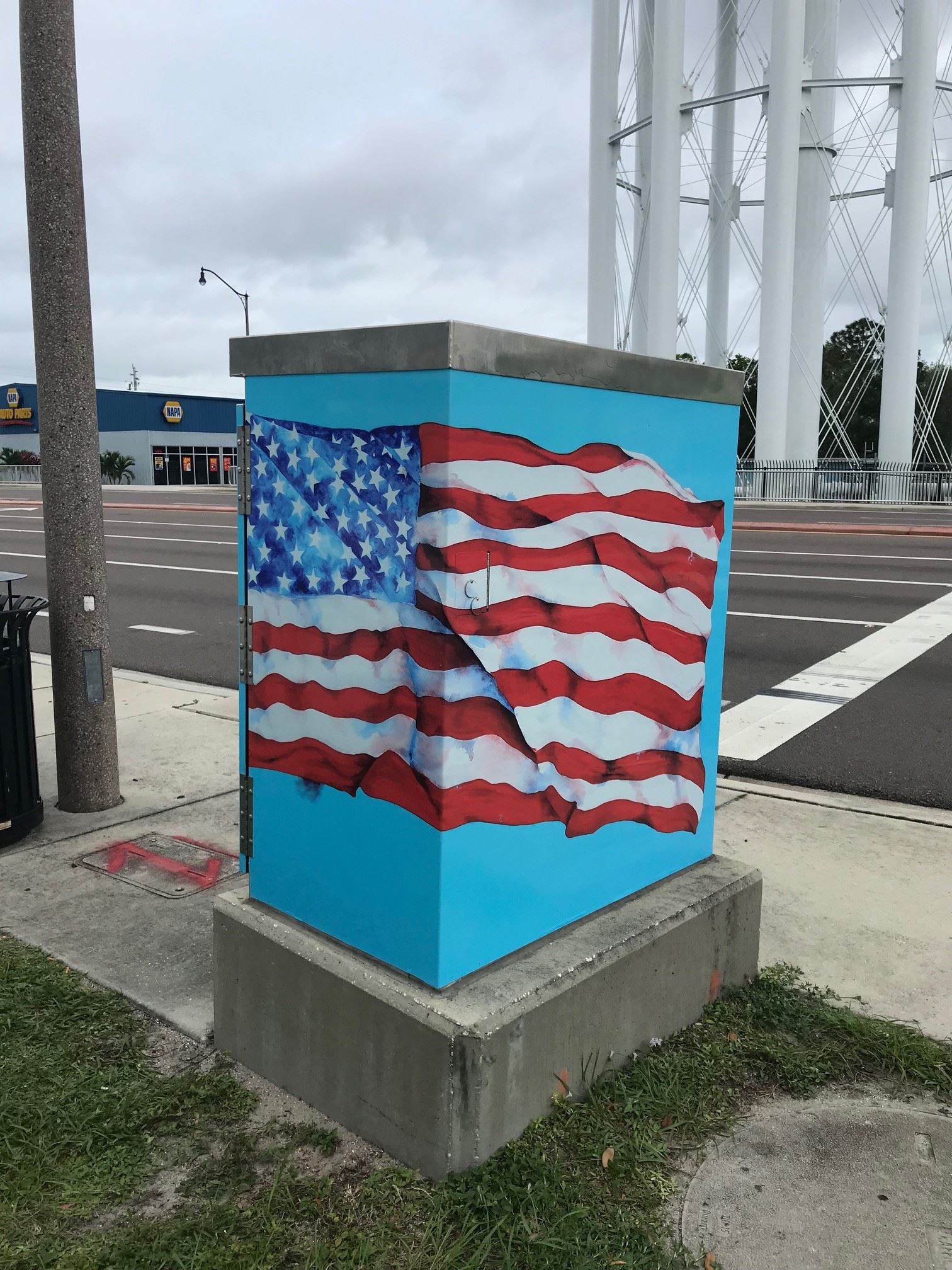 Linda Williams - American Flag #5
