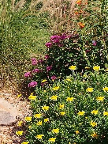 floridafriendlyplants