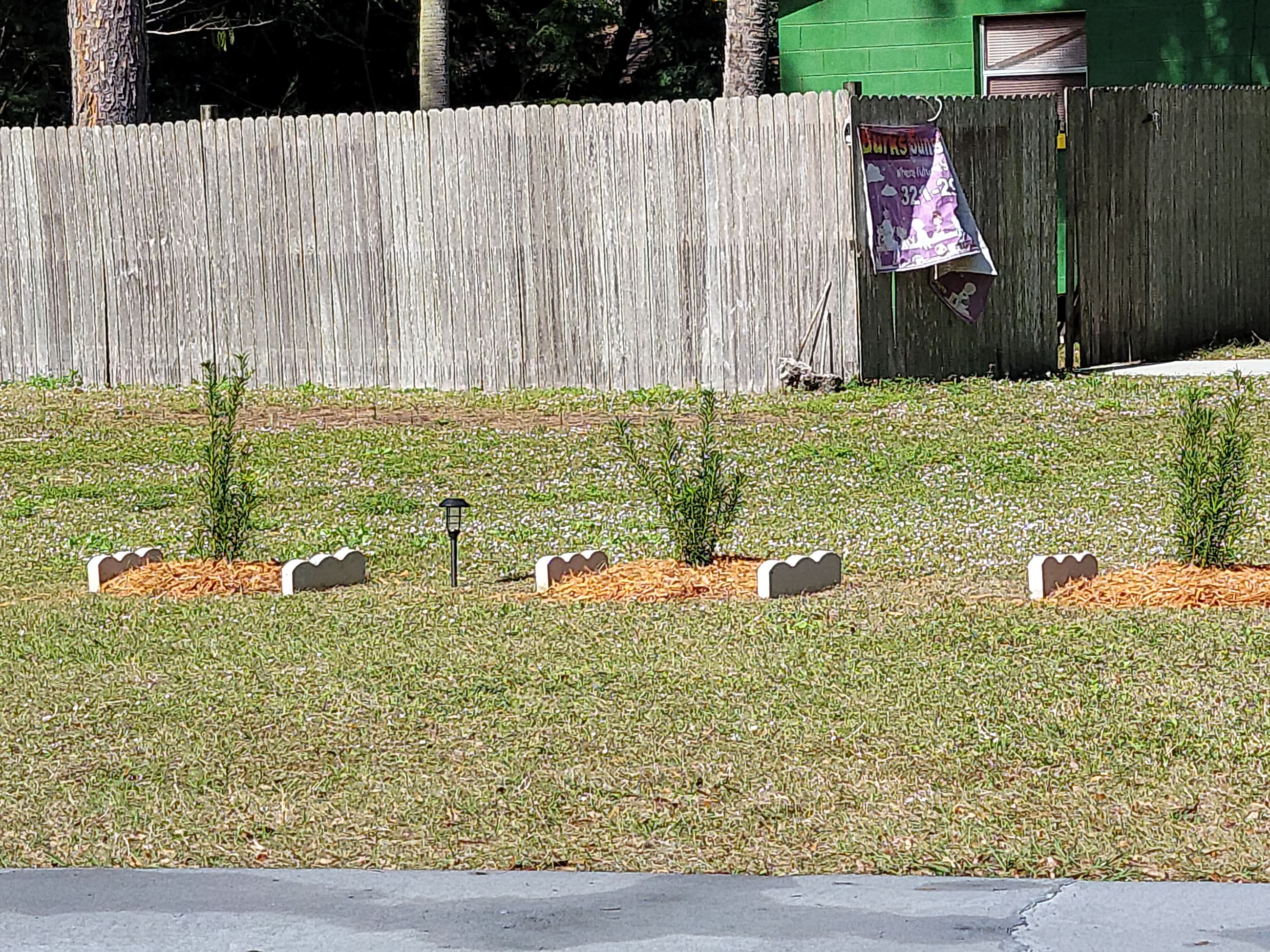 landscaping in yard